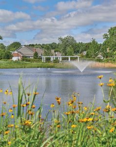 Lake Forest Place exterior fountain