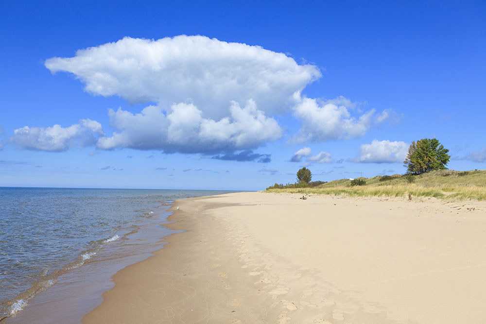 Forest Park Beach